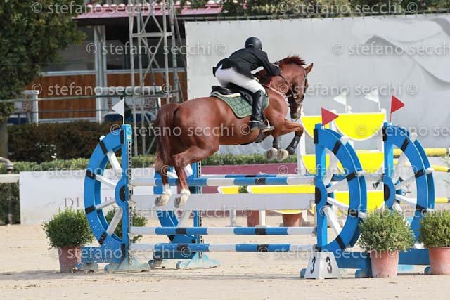 CONSUMATI_BRIEGEL_GIO CAV 2011_SS3_0566.jpg